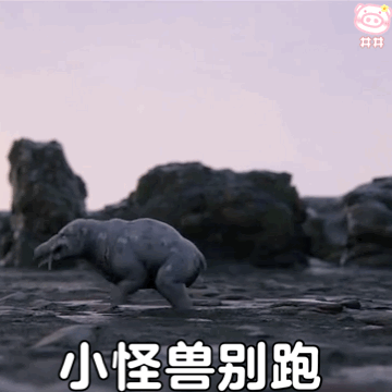 幼年奥特曼动态表情包第二期