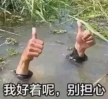 up珍藏多年的沙雕表情包100张2恰桃子时你未曾犹豫