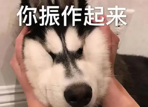 为什么要把孩子逼进名校10年后的差距,一目了然