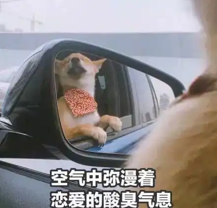 动图宇宙情人节创意表白表情包,又刷屏