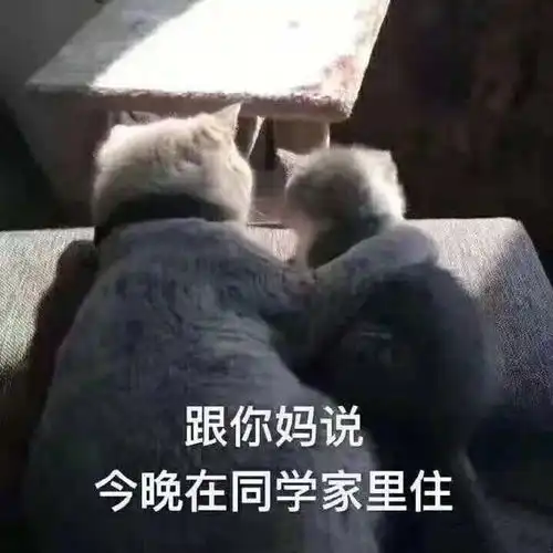 搞笑表情包图片风大雨大也阻挡不了我,等我,马上到