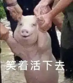 这位身价千亿的河南首富,因猪肉上涨三个月从亏损到赚10亿逆袭