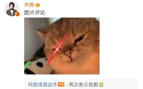 宋茜发表情包回应谁是凶手致歉声明,情商拉满