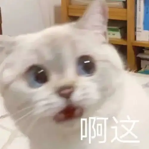 公猫到底要不要绝育