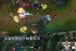 lol国服玩家认真起来,打野住下路都不管用,uzi被打出表情包