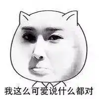 反正是小广告小清新ppt模板合集