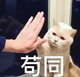 微微权益我们是亚洲第一