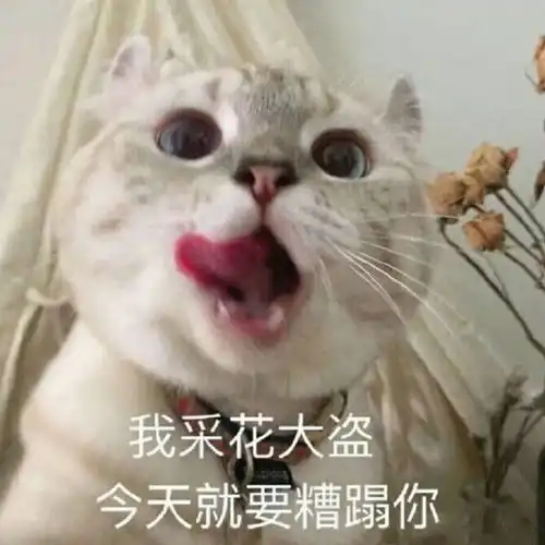 动漫情侣头像娶我这样一个女人虽不倾国不倾城但可以让你倾家荡产