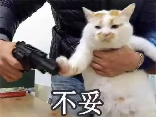 那些让你脑洞大开的神名字,哈哈哈哈哈