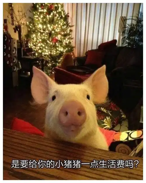 搞笑段子在一个非常寒冷的早晨,一哥们与朋友去提款机取钱