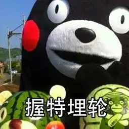 熊本熊英文单词表情包