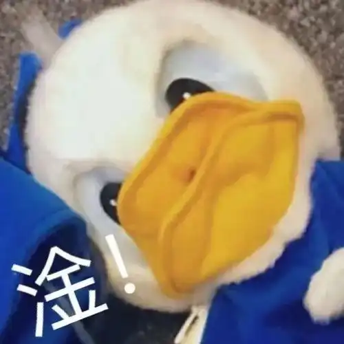你是0还是1救命啊深夜收到了室友的私聊后