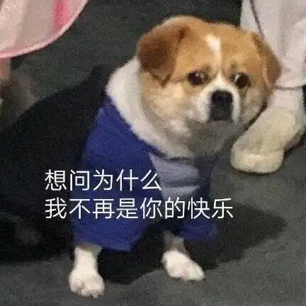 团长分享电竞冷知识doinb袜子值一万块jackeylove的id竟是别人取的