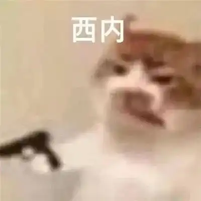 精选热门又很火的聊天表情,摸清你的定位搞笑表情