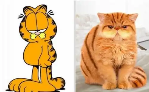 那些动漫中角色的原型,猫和老鼠原形呆萌,小猪佩奇是认真的吗