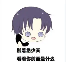 各种全职表情包合集全职高手路痴表情包下载乐游网游戏下载