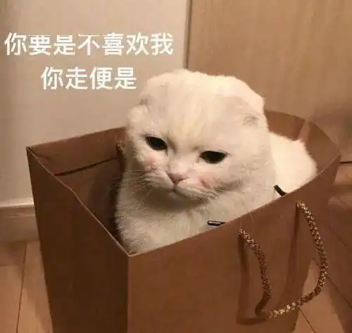 小猫咪到底有没有坏心眼呢表情包