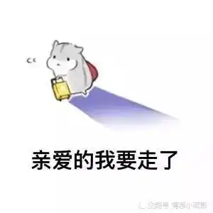 仓鼠表情包早上好吖宝宝