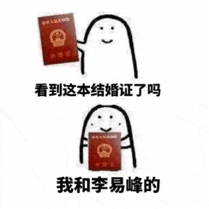 看到这本结婚证了吗,我和xxx的追星女孩表情包