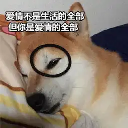 土味情话柴犬表情包