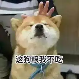 情人节单身狗朋友圈文案,皮一下很开心