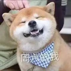 阳光余额不足好好珍惜吧