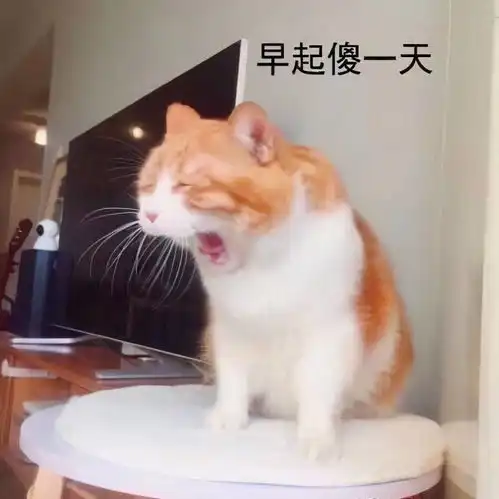斗图表情包合集我和我的胡萝卜都很想你