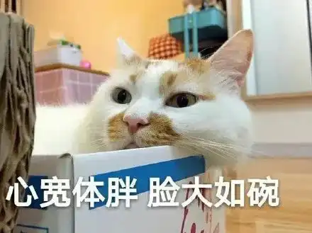 潮图表情包心宽体胖,脸大如碗