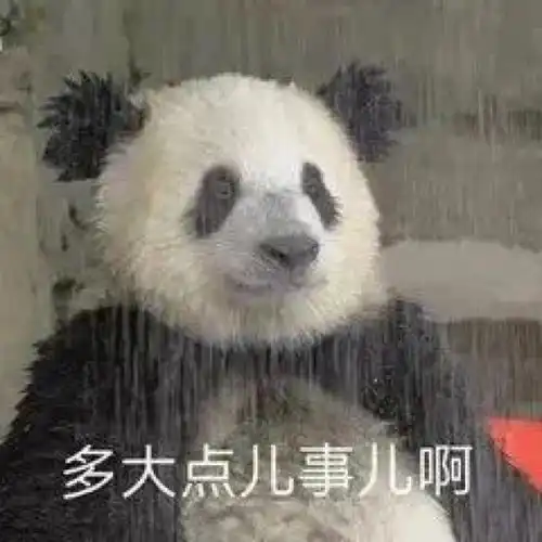 微信聊天群斗图搞笑表情包