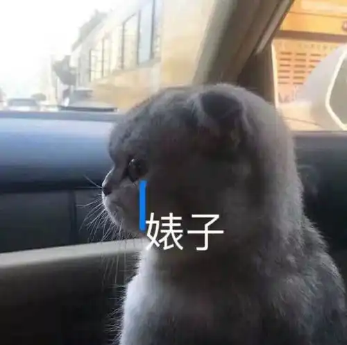 插足成性最终嫁给假富豪,拜金女主播的疯狂上位史