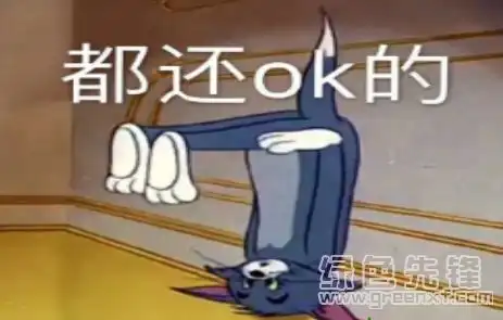 你这是在打发小猫咪吗表情包热门趣味表情图片v1.0免费版