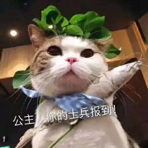 你不起,我不起,咱俩迟早在一起