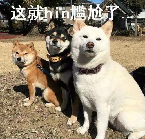 11名中国游客在泰国遇山洪1人丧生飓风侵袭加勒比海岛丨趣报道