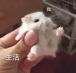 真的一滴都无了