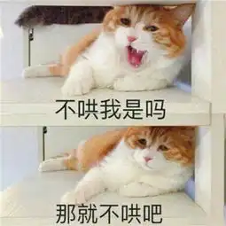 表情包我们绝交五分钟,快哄我