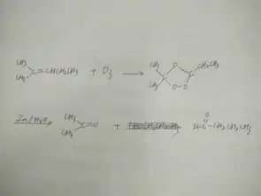 ch32cchch2ch3先与o3反应再和znh2o反应求着两部分别的反应方程式