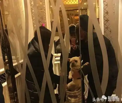 玩自拍赵丽颖小可爱上线,又贡献表情包来啦