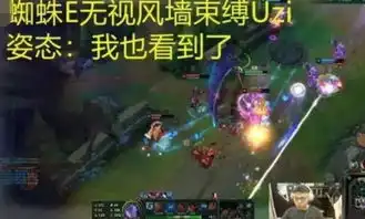 lol第一个孤儿英雄诞生,uzi自闭漏风墙还能挡住啥