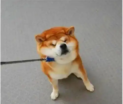 这届毕业生到底有多难
