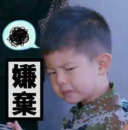 如何评价爸爸去哪儿第四季中沙溢安吉这对父子
