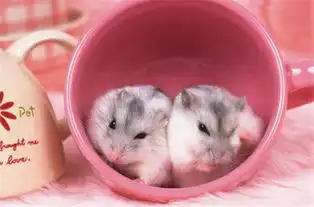 没听过么,干坏事早晚被抓,听哥的,咱们中午去