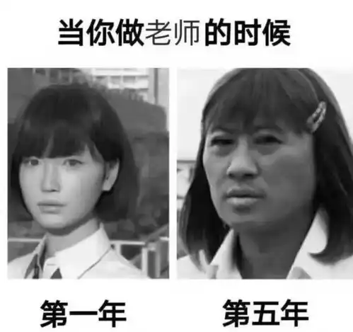 听说每个专业都有专属表情包