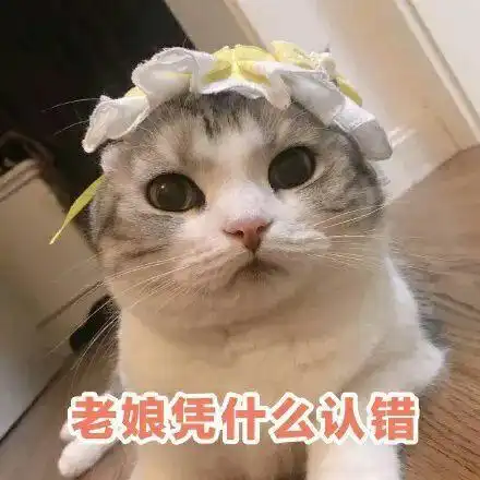 学习