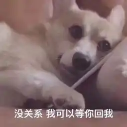 中国奇葩相亲男引日综吐槽这小子绝对不受欢迎吧