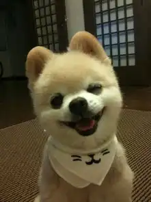 2013年06月05日嘟嘟直播历史内容