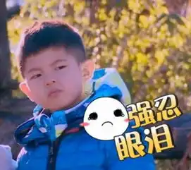 叫板民国沙溢儿子安吉成2016表情终结者
