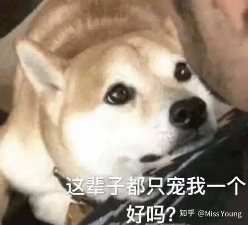 如果对一个人没有分享欲是不是就是不喜欢