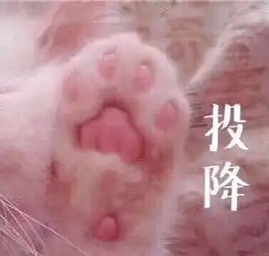 有什么招桃花的表情包