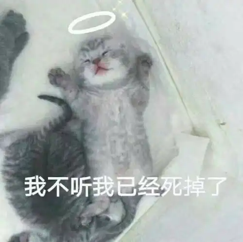 喵喵表情包,斗图的时候肯定不会输,因为对方已经被萌死