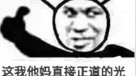 光环3传奇难度全收集流程part3察沃公路